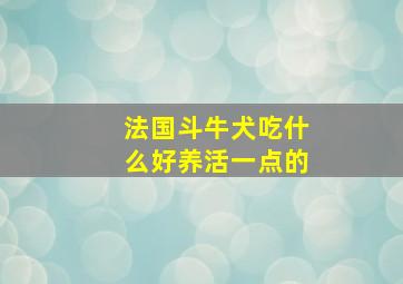 法国斗牛犬吃什么好养活一点的