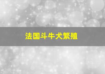 法国斗牛犬繁殖