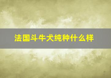 法国斗牛犬纯种什么样