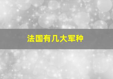 法国有几大军种