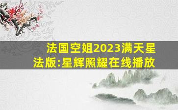 法国空姐2023满天星法版:星辉照耀在线播放