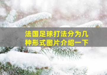 法国足球打法分为几种形式图片介绍一下