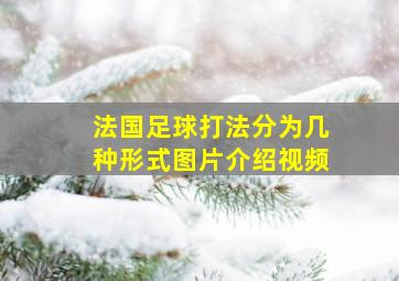 法国足球打法分为几种形式图片介绍视频