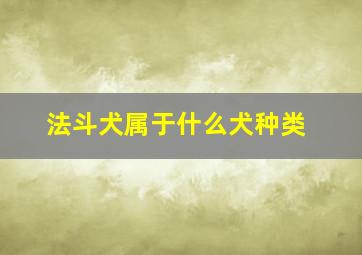 法斗犬属于什么犬种类