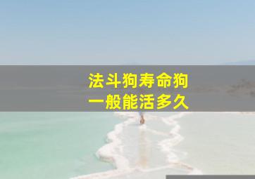 法斗狗寿命狗一般能活多久