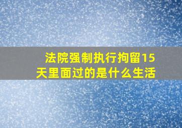 法院强制执行拘留15天里面过的是什么生活