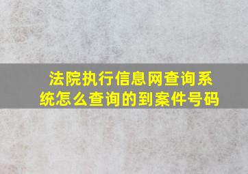 法院执行信息网查询系统怎么查询的到案件号码