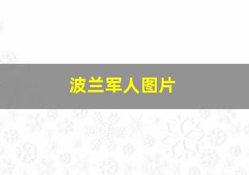 波兰军人图片