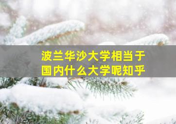 波兰华沙大学相当于国内什么大学呢知乎