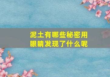 泥土有哪些秘密用眼睛发现了什么呢