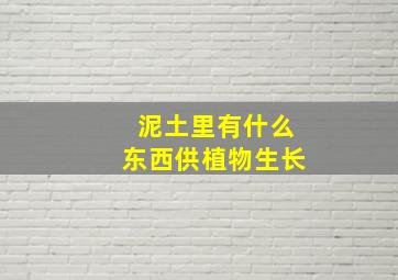 泥土里有什么东西供植物生长