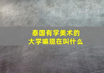 泰国有学美术的大学嘛现在叫什么