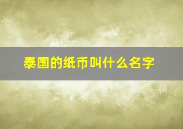 泰国的纸币叫什么名字