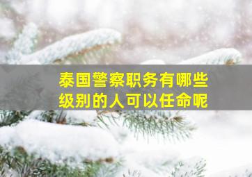 泰国警察职务有哪些级别的人可以任命呢