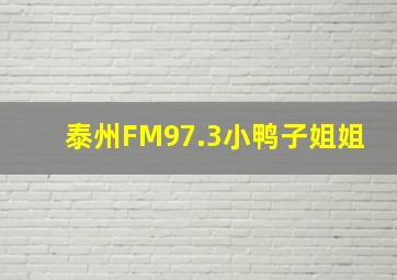 泰州FM97.3小鸭子姐姐