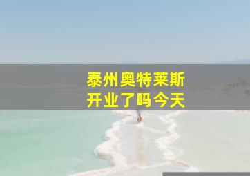 泰州奥特莱斯开业了吗今天