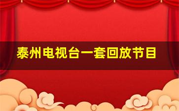 泰州电视台一套回放节目