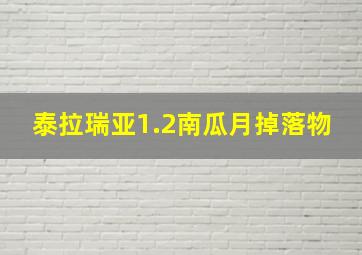 泰拉瑞亚1.2南瓜月掉落物