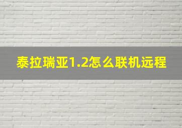 泰拉瑞亚1.2怎么联机远程