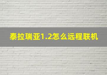 泰拉瑞亚1.2怎么远程联机