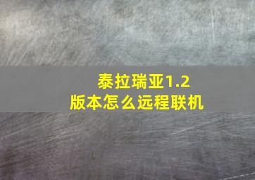 泰拉瑞亚1.2版本怎么远程联机