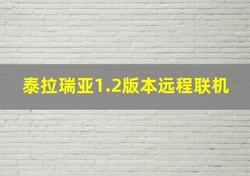 泰拉瑞亚1.2版本远程联机