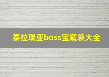 泰拉瑞亚boss宝藏袋大全