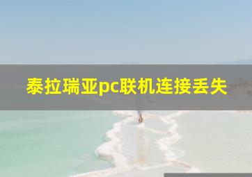 泰拉瑞亚pc联机连接丢失