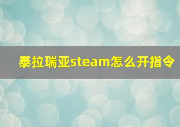 泰拉瑞亚steam怎么开指令