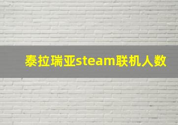 泰拉瑞亚steam联机人数