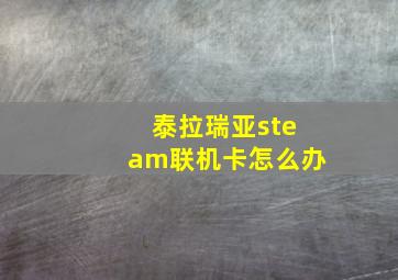 泰拉瑞亚steam联机卡怎么办