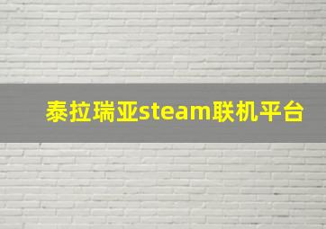 泰拉瑞亚steam联机平台