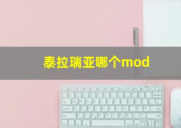 泰拉瑞亚哪个mod