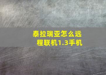 泰拉瑞亚怎么远程联机1.3手机