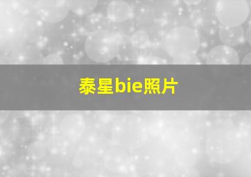 泰星bie照片