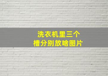 洗衣机里三个槽分别放啥图片