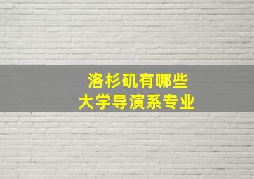 洛杉矶有哪些大学导演系专业