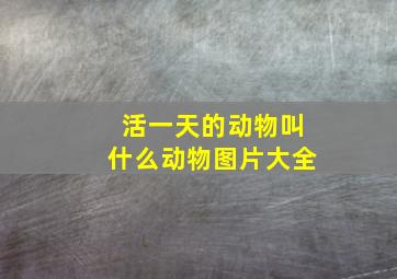 活一天的动物叫什么动物图片大全