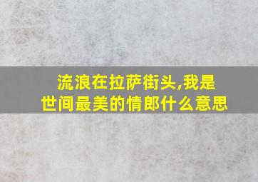 流浪在拉萨街头,我是世间最美的情郎什么意思