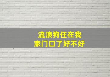 流浪狗住在我家门口了好不好