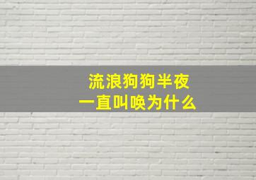 流浪狗狗半夜一直叫唤为什么