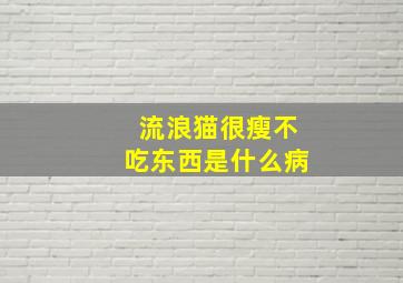 流浪猫很瘦不吃东西是什么病