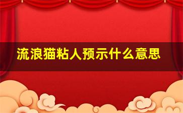 流浪猫粘人预示什么意思