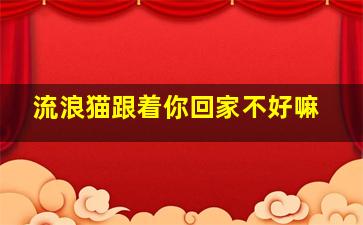 流浪猫跟着你回家不好嘛