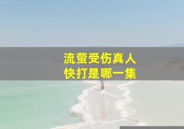 流萤受伤真人快打是哪一集