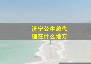 济宁公牛总代理在什么地方