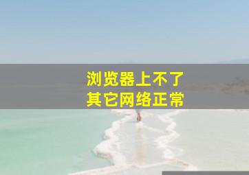 浏览器上不了其它网络正常