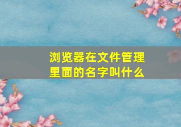 浏览器在文件管理里面的名字叫什么