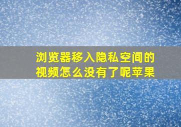 浏览器移入隐私空间的视频怎么没有了呢苹果