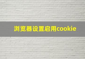 浏览器设置启用cookie